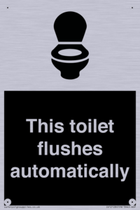 IV12128: This toilet flushes automatically