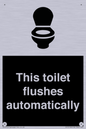 IV12128: This toilet flushes automatically
