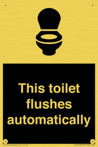 IV12128: This toilet flushes automatically