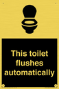 IV12128: This toilet flushes automatically