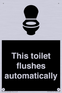 IV12128: This toilet flushes automatically