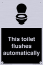 IV12128: This toilet flushes automatically