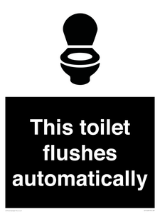 IV12128: This toilet flushes automatically
