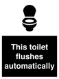 IV12128: This toilet flushes automatically