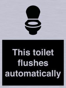 IV12128: This toilet flushes automatically