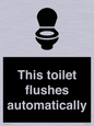 IV12128: This toilet flushes automatically
