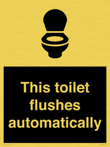 IV12128: This toilet flushes automatically