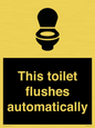 IV12128: This toilet flushes automatically