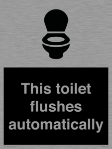 IV12128: This toilet flushes automatically