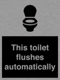 IV12128: This toilet flushes automatically