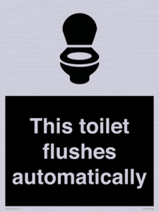 IV12128: This toilet flushes automatically