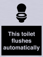 IV12128: This toilet flushes automatically