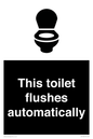 IV12128: This toilet flushes automatically