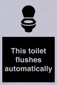 IV12128: This toilet flushes automatically
