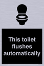 IV12128: This toilet flushes automatically