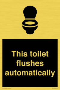 IV12128: This toilet flushes automatically