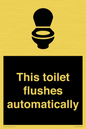 IV12128: This toilet flushes automatically