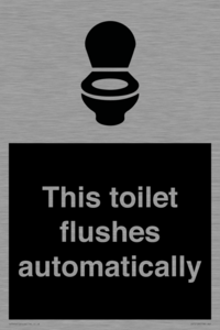 IV12128: This toilet flushes automatically
