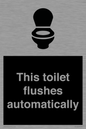 IV12128: This toilet flushes automatically