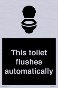 IV12128: This toilet flushes automatically