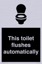 IV12128: This toilet flushes automatically