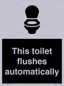 IV12128: This toilet flushes automatically