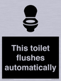 IV12128: This toilet flushes automatically