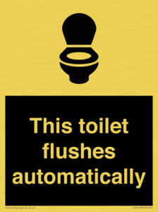 IV12128: This toilet flushes automatically