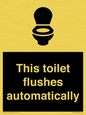 IV12128: This toilet flushes automatically