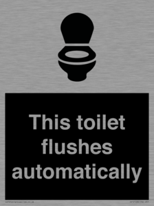 IV12128: This toilet flushes automatically