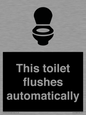 IV12128: This toilet flushes automatically