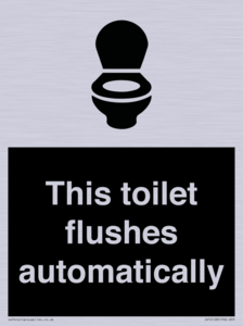 IV12128: This toilet flushes automatically
