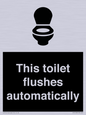 IV12128: This toilet flushes automatically