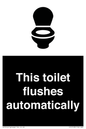 IV12128: This toilet flushes automatically