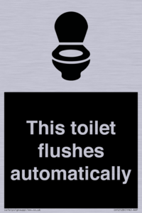 IV12128: This toilet flushes automatically