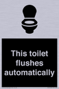 IV12128: This toilet flushes automatically