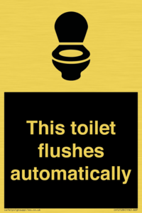 IV12128: This toilet flushes automatically