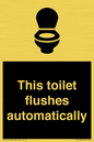 IV12128: This toilet flushes automatically