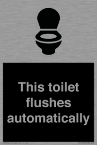 IV12128: This toilet flushes automatically