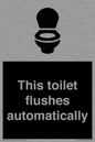 IV12128: This toilet flushes automatically