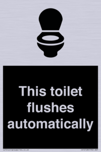 IV12128: This toilet flushes automatically