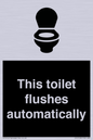 IV12128: This toilet flushes automatically