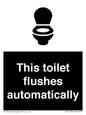 IV12128: This toilet flushes automatically
