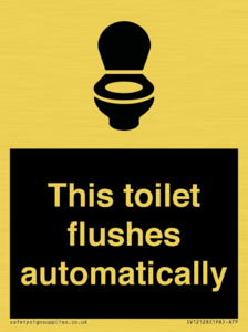 IV12128: This toilet flushes automatically