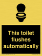 IV12128: This toilet flushes automatically