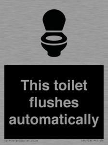 IV12128: This toilet flushes automatically