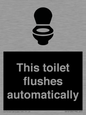 IV12128: This toilet flushes automatically