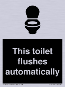 IV12128: This toilet flushes automatically