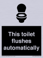IV12128: This toilet flushes automatically