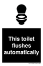 IV12128: This toilet flushes automatically